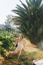 Time Well Spent In Valle de Guadalupe, Mexico