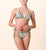 Forbela Triangle Top | Verdant Flight Swim-Top Cleobella 