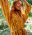 Magdalena Mini Dress | Wildflower Citrus Dresses Cleobella 