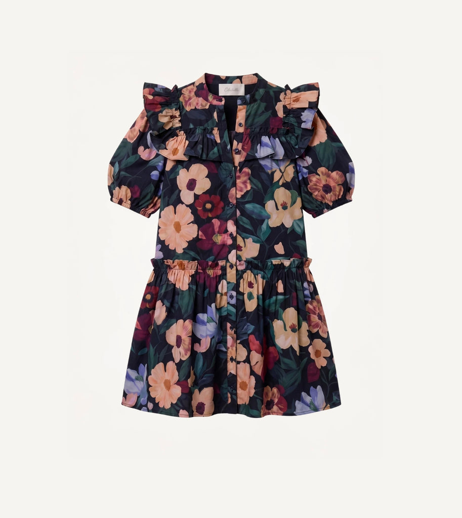 Tatiana Mini Dress | Black Andalusia Dresses Cleobella 